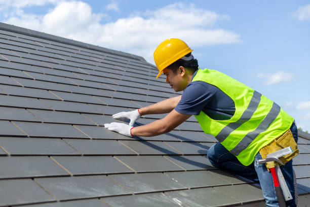 Roof Gutter Cleaning in Elgin, TX