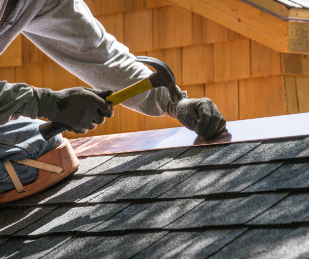 Best Roof Gutter Cleaning  in Elgin, TX